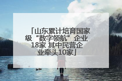 山东累计培育国家级“数字领航”企业18家 其中民营企业牵头10家