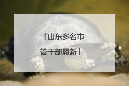 山东多名市管干部履新