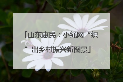 山东惠民：小绳网“织”出乡村振兴新图景