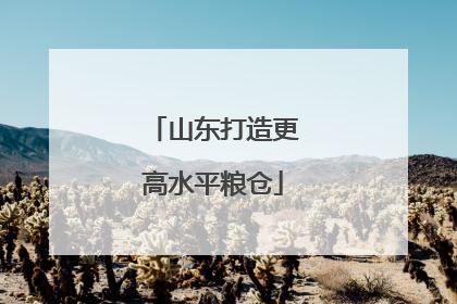 山东打造更高水平粮仓