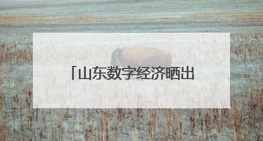 山东数字经济晒出硬实力：三一重能设备利用率提升4倍，赛轮智能工厂38秒生产一条轮胎