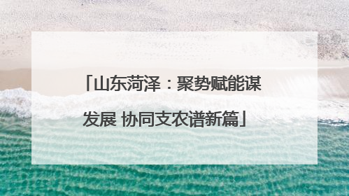 山东菏泽：聚势赋能谋发展 协同支农谱新篇