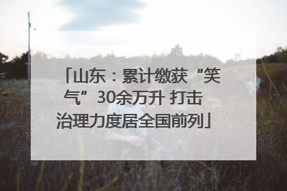 山东：累计缴获“笑气”30余万升 打击治理力度居全国前列
