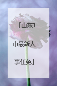 山东1市最新人事任免