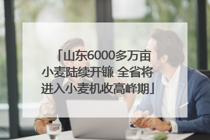 山东6000多万亩小麦陆续开镰 全省将进入小麦机收高峰期