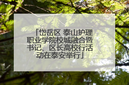 岱岳区 泰山护理职业学院校城融合暨书记、区长高校行活动在泰安举行