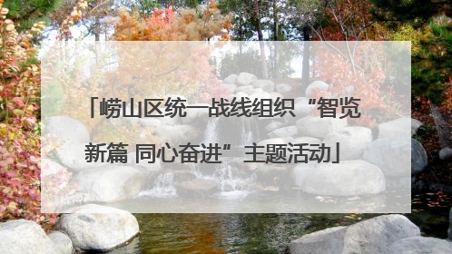崂山区统一战线组织“智览新篇 同心奋进”主题活动