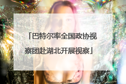 巴特尔率全国政协视察团赴湖北开展视察