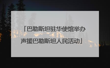 巴勒斯坦驻华使馆举办声援巴勒斯坦人民活动
