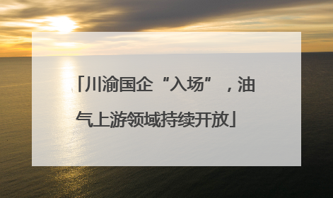 川渝国企“入场”，油气上游领域持续开放
