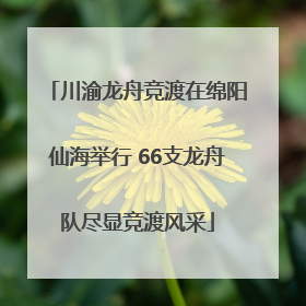 川渝龙舟竞渡在绵阳仙海举行 66支龙舟队尽显竞渡风采
