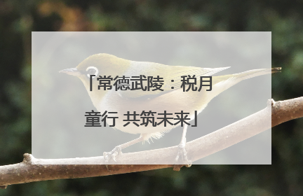 常德武陵：税月童行 共筑未来