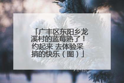 广丰区东阳乡龙溪村的蓝莓熟了！约起来 去体验采摘的快乐（图）