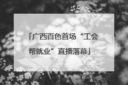 广西百色首场“工会帮就业”直播落幕