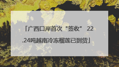 广西口岸首次“签收” 22.24吨越南冷冻榴莲已到货