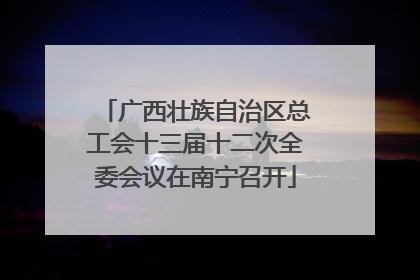 广西壮族自治区总工会十三届十二次全委会议在南宁召开