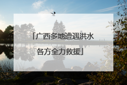 广西多地遭遇洪水 各方全力救援
