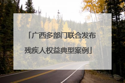 广西多部门联合发布残疾人权益典型案例