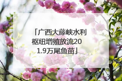广西大藤峡水利枢纽增殖放流201.9万尾鱼苗