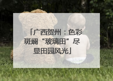 广西贺州：色彩斑斓“玻璃田”尽显田园风光