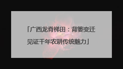 广西龙脊梯田：背篓变迁见证千年农耕传统魅力