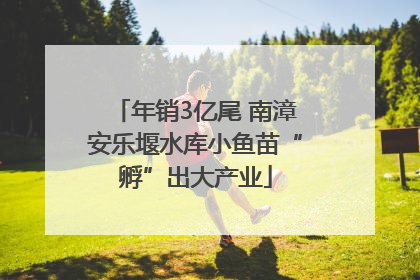年销3亿尾 南漳安乐堰水库小鱼苗“孵”出大产业