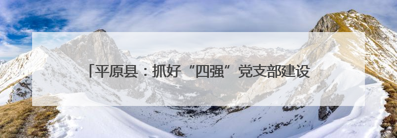 平原县：抓好“四强”党支部建设 打造党旗高高飘扬的战斗堡垒