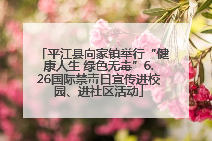 平江县向家镇举行“健康人生 绿色无毒”6.26国际禁毒日宣传进校园、进社区活动