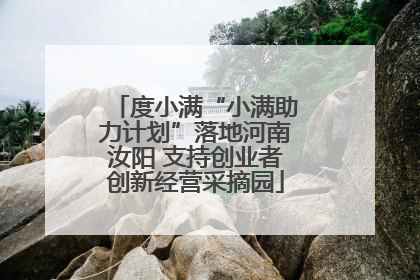 度小满“小满助力计划”落地河南汝阳 支持创业者创新经营采摘园