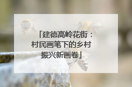 建德高岭花街：村民画笔下的乡村振兴新画卷