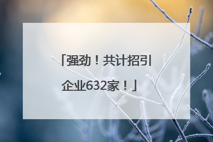 强劲！共计招引企业632家！