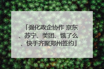 强化政企协作 京东、苏宁、美团、饿了么、快手齐聚郑州签约