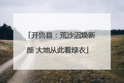 开鲁县：荒沙沼焕新颜 大地从此着绿衣
