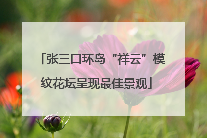 张三口环岛“祥云”模纹花坛呈现最佳景观