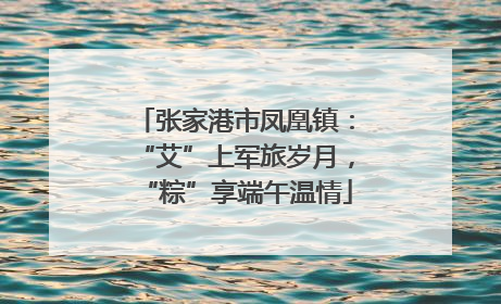 张家港市凤凰镇：“艾”上军旅岁月，“粽”享端午温情