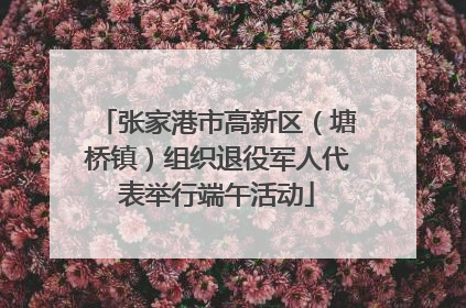 张家港市高新区（塘桥镇）组织退役军人代表举行端午活动