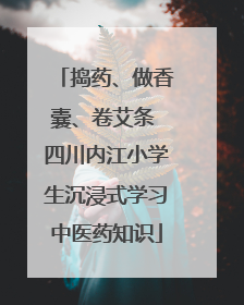 捣药、做香囊、卷艾条 四川内江小学生沉浸式学习中医药知识