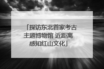 探访东北首家考古主题博物馆 近距离感知红山文化