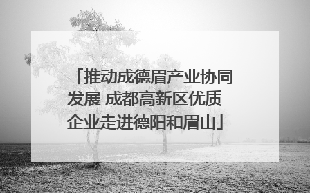 推动成德眉产业协同发展 成都高新区优质企业走进德阳和眉山