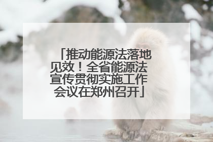 推动能源法落地见效！全省能源法宣传贯彻实施工作会议在郑州召开