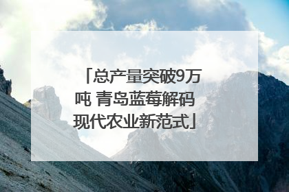总产量突破9万吨 青岛蓝莓解码现代农业新范式