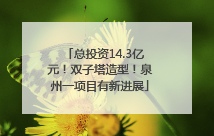 总投资14.3亿元！双子塔造型！泉州一项目有新进展