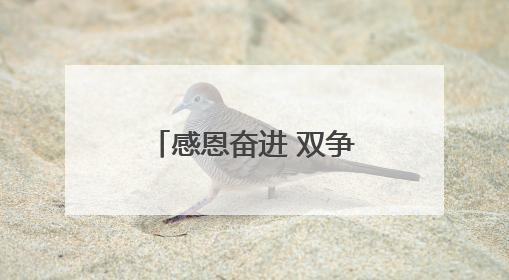 感恩奋进 双争有我·致敬自强模范丨残疾人运动员赵玉萍：从两米视界走向世界舞台