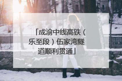 成渝中线高铁（乐至段）伍家湾隧道顺利贯通