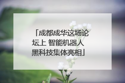 成都成华这场论坛上 智能机器人黑科技集体亮相