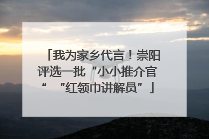 我为家乡代言！崇阳评选一批“小小推介官”“红领巾讲解员”