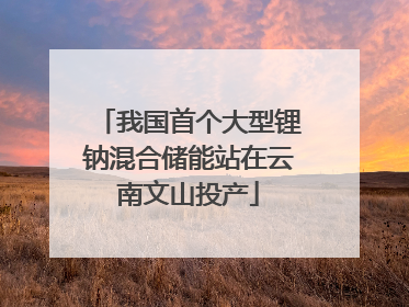 我国首个大型锂钠混合储能站在云南文山投产