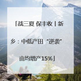 战三夏 保丰收丨新乡：中低产田“逆袭” 亩均增产15%