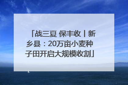 战三夏 保丰收丨新乡县：20万亩小麦种子田开启大规模收割