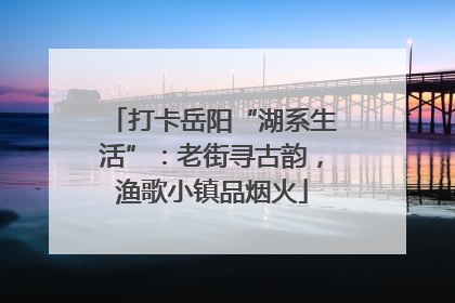 打卡岳阳“湖系生活”：老街寻古韵，渔歌小镇品烟火